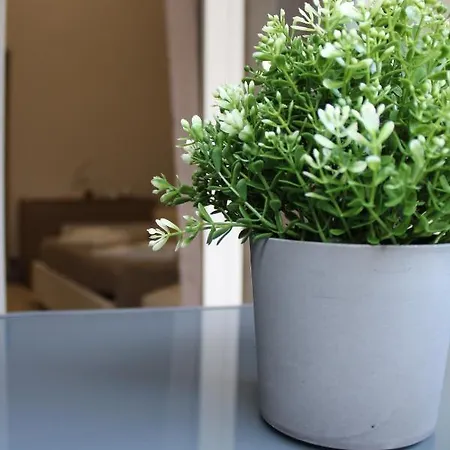 Panzió D'amari Palermo